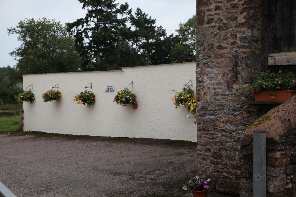 Weir Mill Farm Bed and Breakfast Cullompton Buitenkant foto
