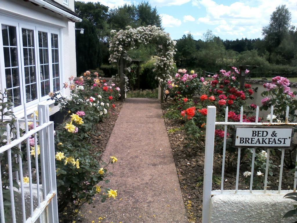 Weir Mill Farm Bed and Breakfast Cullompton Buitenkant foto